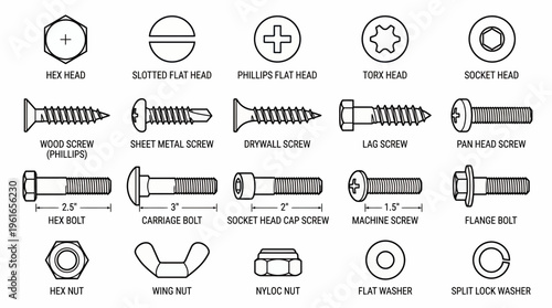 Collection of various industrial fastener types including screws, bolts, nuts and washers with technical labels, illustrating technical hardware specifications, covering construction guides