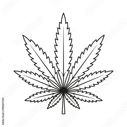 Cannabis leaf illustration depicts a detailed outline of the plant