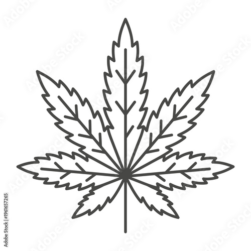 Detailed hemp leaf outline illustration for educational or informational purposes