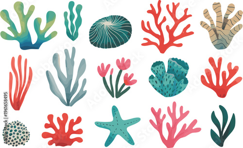 Coral reef elements set, colorful marine sea plants collection underwater illustration design