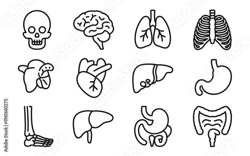 A collection of twelve simple black and white line art icons depicting human internal body organs