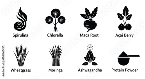 Superfood icons, vegan nutrition symbols, healthy food labels, plant-based diet graphics