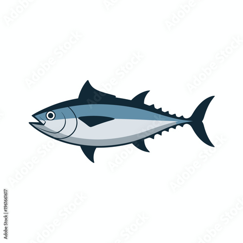 vector illustration of a shark