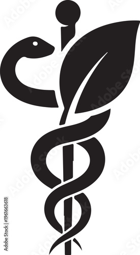 Medical symbol, caduceus icon, healthcare logo, vector graphic