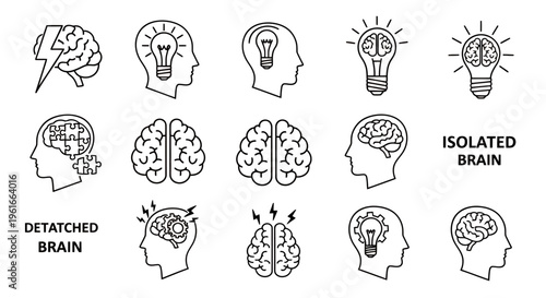 Series of Brain Diagrams and Isolated Brain Illustrations Showing Anatomy and Conceptual Variants.