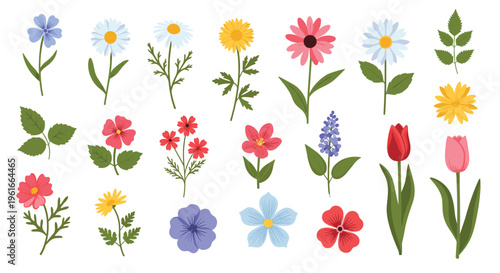 Large collection of individual flower and leaf illustrations in various colors and shapes on a clean white background.
