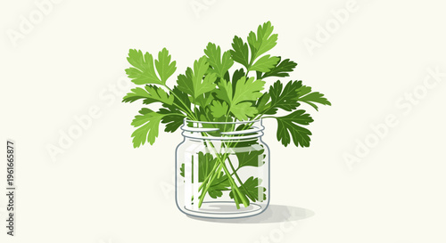 Fresh parsley leaves, green herb, glass jar, kitchen ingredient, culinary vector