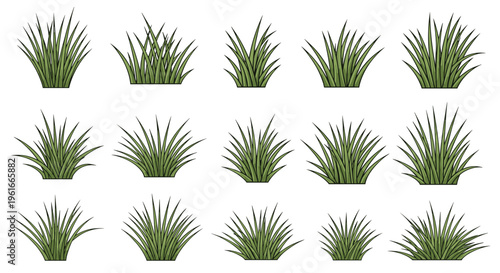 Collection of fifteen different types of green grass tufts and bushes for landscape design and architectural models.