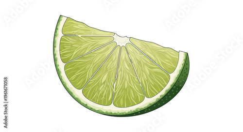 Fresh Lime Slice - Isolated on White Background