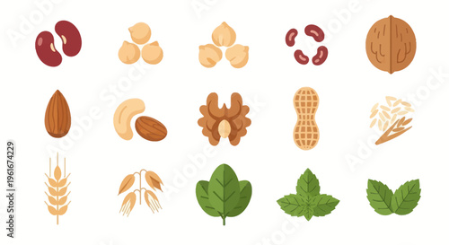 Assorted Healthy Nuts, Beans, and Grains Collection - Flat Icons