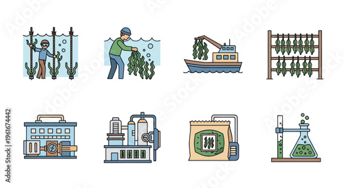 Seaweed Farming and Processing Icons: Aquaculture, Harvest, Drying, Factory & Lab