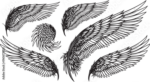 Collection of black and white feathered angel wings illustrations