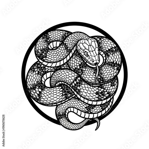 Detailed illustration of a coiled snake inside a circle.