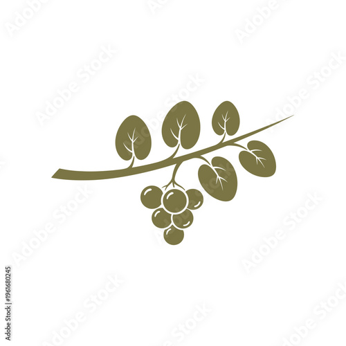 Green Grapes on a Vine Branch with Leaves.