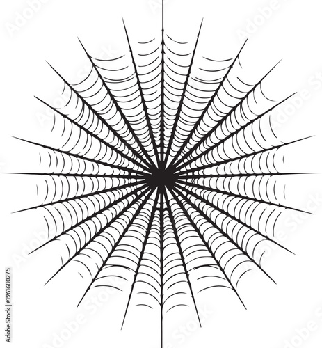 Intricate black spider web design on white background illustration