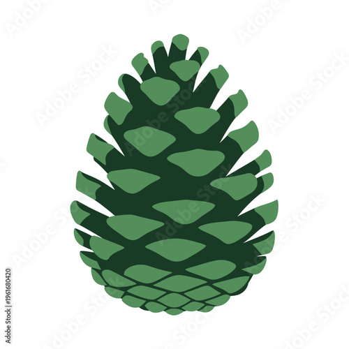 Green Pine Cone Illustration Isolated on White Background.
