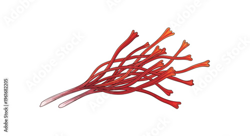 Saffron threads isolated on white background