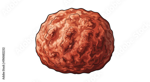 Single cooked meatball isolated on white background, detailed texture