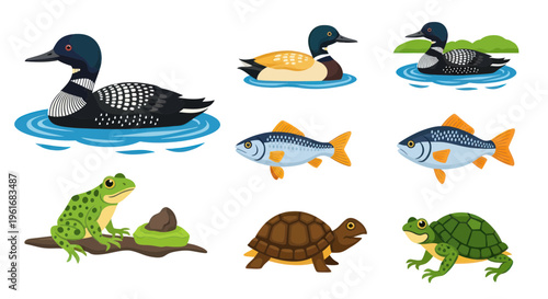 Wildlife Collection: Ducks, Fish, Frog, and Turtle on White Background