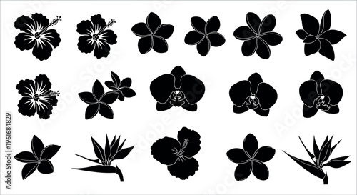 Collection of black silhouette tropical flowers on white background hibiscus