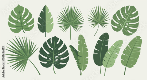Collection of various green tropical leaves, including monstera, palm, and banana leaf illustrations, on a light background.