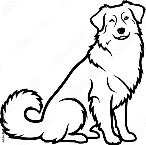 Australian Shepherd dog silhouette vector illustration