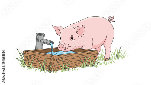 Healthy young pig drinks fresh water from a rustic wooden trough in a green pasture field on a beautiful farm day.