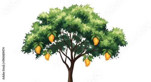 Ripe Mango Tree with Yellow Fruits Hanging on Branches, Lush Green Leaves