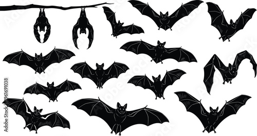 Flying and hanging bat silhouette collection in various poses, black vector illustration isolated on white background, spooky halloween nocturnal animal set