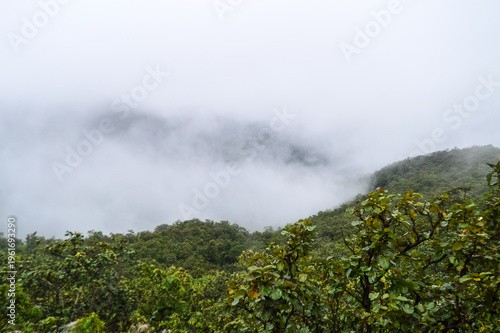 Dense fog swiftly ascends a jungle-covered mountainside, contrasting with a clearer side due to rapid temperature changes.