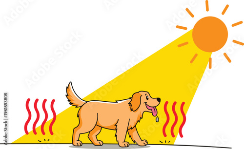 Dog panting under intense sun with heat waves, illustrating heatstroke, hot weather, and animal welfare concerns, golden retriever