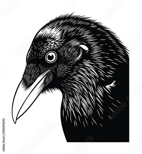 Vector of a crow or raven featuring feathers and a sharp beak