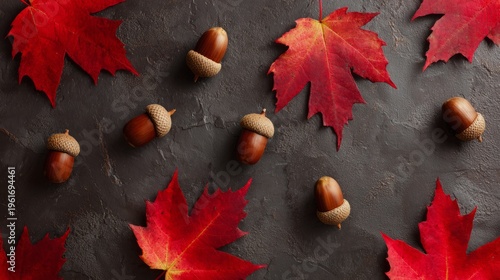 acorns. Autumn arrangement of maple leaves and acorns in a corner pattern on a dark textured surface, warm seasonal still life. representing seasonal cycles and harvest abundance.

