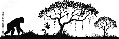 Primate jungle silhouette illustration, chimpanzee or gorilla walking among trees, vines, and vegetation, wildlife nature habitat theme, vector art, black isolated bold design