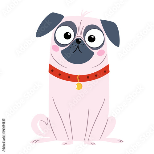 A cute pug sitting in a collar. A flat vector illustration in a simple, child-friendly style . Vector illustration