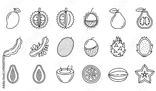 Minimal Exotic Tropical Fruits Thin Line Icon Set for Web and App UI Outline Vector Collection