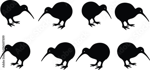 Kiwi bird silhouette set, black isolated flightless New Zealand native animal icons collection, flat vector illustration on white background