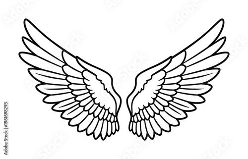 Vector of symmetrical bird wings spread wide in a graceful pose