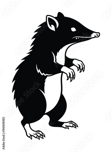 Vector of a standing rodent with a pointed snout and sharp claws