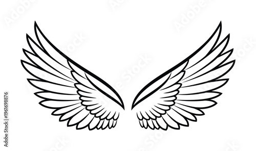 Vector of symmetrical bird wings with elegant feathers spread out in a graceful form.