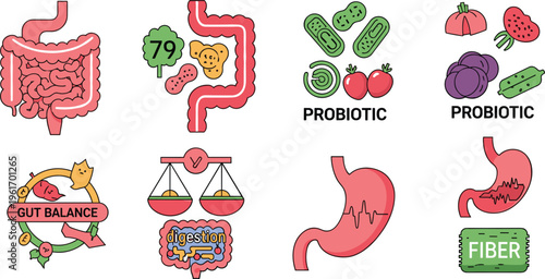 Gut Health and Digestion Icon Set with Probiotics, Fiber Intake, Stomach Balance, Microbiome, Intestinal System and Nutrition Wellness Concepts