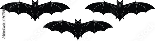 Three black bat silhouettes flying isolated on white background, spooky halloween vector illustration with spread wings and detailed outline design