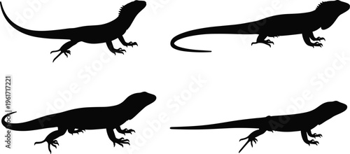 Lizard silhouette vector set. Small reptile collection with long tails and simple body shapes. Black animal illustrations for wildlife design, nature themes and tropical concepts.