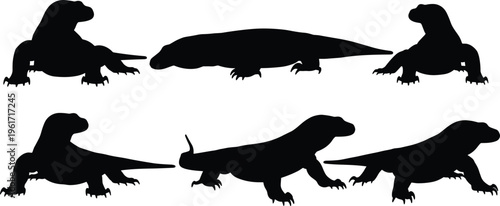 Komodo dragon silhouette collection. Monitor lizard vector set with strong bodies and walking poses. Black reptile illustrations for wildlife design, nature themes and zoo concepts.