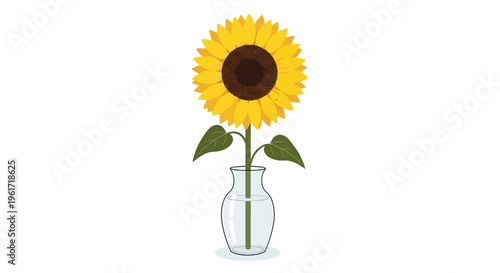 Single Sunflower in Glass Vase, Bright Yellow Petals, Isolated on White Background