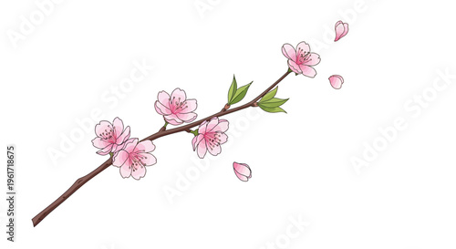 Spring Blossom Branch with Falling Petals, Pink Cherry Flowers