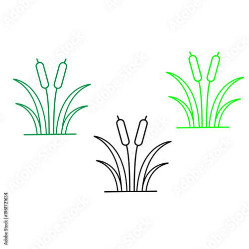 Cattail plant and reed vector icon set for wetland and nature conservation concepts
