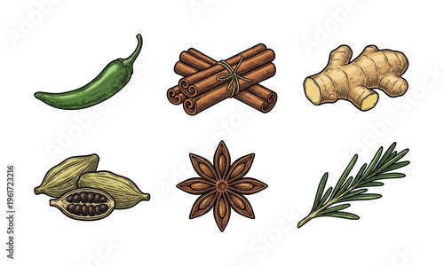 A colorful vector set of spices and herbs in a vintage engraving style. Includes chili, cinnamon, ginger, cardamom, star anise, and rosemary. Perfect for culinary design.
