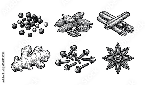 A set of aromatic spices in a vintage hand drawn engraving style. Features pepper, cinnamon, ginger, cloves, anise. For packaging, recipes, menus and culinary design.