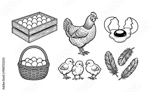 Set of vintage chicken farm elements. Includes hen, chicks, eggs in basket and crate, cracked egg, and feathers. Perfect for logos, packaging, and menus for organic food.